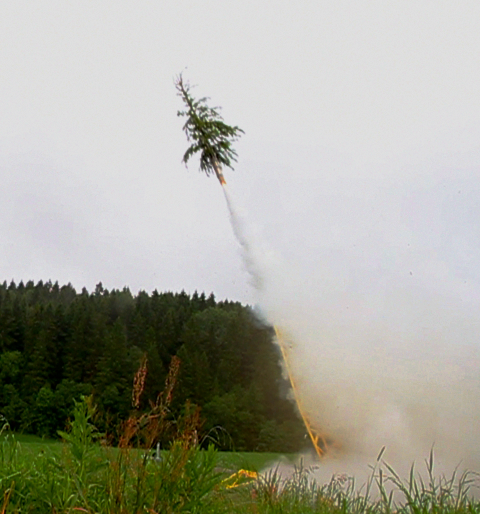  Norwegian spruce tree launch